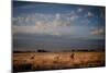 Open Spaces-Dan Ballard-Mounted Premium Photographic Print