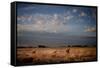 Open Spaces-Dan Ballard-Framed Stretched Canvas