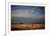 Open Spaces-Dan Ballard-Framed Photographic Print