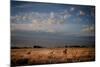 Open Spaces-Dan Ballard-Mounted Photographic Print