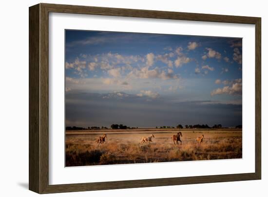 Open Spaces-Dan Ballard-Framed Photographic Print