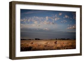 Open Spaces-Dan Ballard-Framed Photographic Print