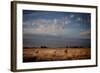 Open Spaces-Dan Ballard-Framed Photographic Print