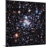 Open Star Cluster NGC 290-E. Olszewski-Mounted Premium Photographic Print