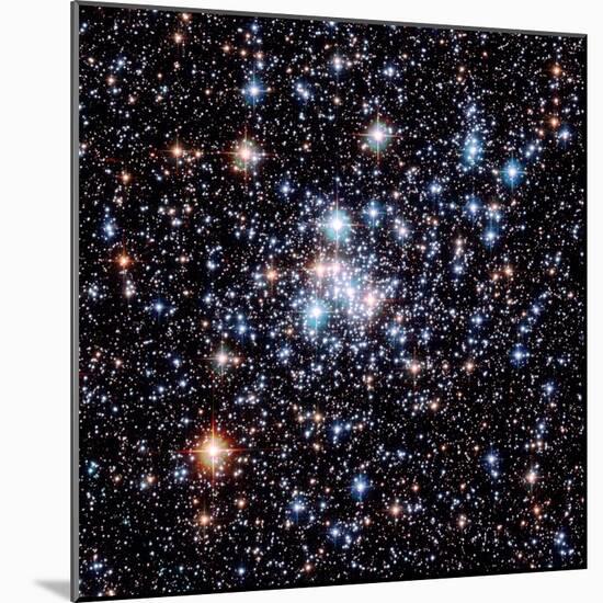 Open Star Cluster NGC 290-E. Olszewski-Mounted Premium Photographic Print