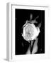 Open Tulip-Jeff Pica-Framed Photographic Print