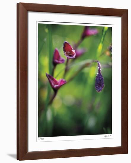 Open Up-Michelle Wermuth-Framed Giclee Print