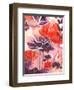 Open Up-Corina Capri-Framed Art Print