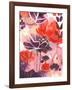 Open Up-Corina Capri-Framed Art Print