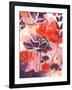 Open Up-Corina Capri-Framed Art Print