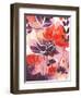 Open Up-Corina Capri-Framed Art Print