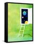 Open White Door with Spheres And White Ladder on Green Background-null-Framed Stretched Canvas