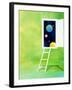 Open White Door with Spheres And White Ladder on Green Background-null-Framed Photographic Print