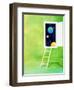 Open White Door with Spheres And White Ladder on Green Background-null-Framed Photographic Print