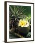 Opened Coconut with Straws and a Pineapple-Vladimir Shulevsky-Framed Photographic Print