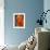 Opened Orange Tulip-Katano Nicole-Framed Photo displayed on a wall