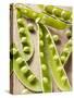 Opened Pea Pods-null-Stretched Canvas