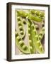 Opened Pea Pods-null-Framed Photographic Print