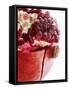 Opened Pomegranate, Close-Up-Dieter Heinemann-Framed Stretched Canvas