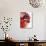 Opened Pomegranate, Close-Up-Dieter Heinemann-Photographic Print displayed on a wall