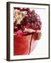 Opened Pomegranate, Close-Up-Dieter Heinemann-Framed Photographic Print