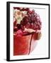 Opened Pomegranate, Close-Up-Dieter Heinemann-Framed Photographic Print