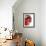 Opened Pomegranate, Close-Up-Dieter Heinemann-Framed Photographic Print displayed on a wall