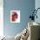 Opened Pomegranate, Close-Up-Dieter Heinemann-Framed Photographic Print displayed on a wall