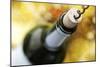 Opening a Wine Bottle with a Corkscrew in a Restaurant-Flynt-Mounted Photographic Print