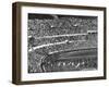 Opening Ceremony of Us Team at Olympics-null-Framed Photographic Print