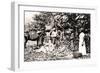 Opening Cocoa Pods, Trinidad, Trinidad and Tobago, C1900s-Strong-Framed Giclee Print