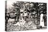 Opening Cocoa Pods, Trinidad, Trinidad and Tobago, C1900s-Strong-Stretched Canvas