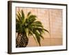 Opening Day, New deYoung Museum, San Francisco, California, USA-Michele Westmorland-Framed Photographic Print