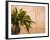 Opening Day, New deYoung Museum, San Francisco, California, USA-Michele Westmorland-Framed Photographic Print