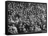 Opening Day of Baseball, Crowd Watching as Ball Flies Overhead-Francis Miller-Framed Stretched Canvas