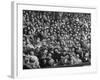 Opening Day of Baseball, Crowd Watching as Ball Flies Overhead-Francis Miller-Framed Photographic Print