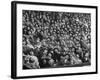 Opening Day of Baseball, Crowd Watching as Ball Flies Overhead-Francis Miller-Framed Photographic Print