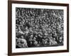 Opening Day of Baseball, Crowd Watching as Ball Flies Overhead-Francis Miller-Framed Photographic Print