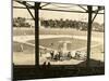 Opening Day of Spring Training for the New York Giants at Miami Field, 1946-null-Mounted Photographic Print