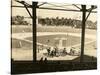 Opening Day of Spring Training for the New York Giants at Miami Field, 1946-null-Stretched Canvas