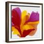 Opening My Face to the Sun-Aleta Pippin-Framed Giclee Print