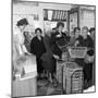 Opening of Broughs Supermarket, Thurnscoe, South Yorkshire, 1963-Michael Walters-Mounted Photographic Print