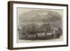 Opening of the Cape Town and Wellington Railway, Arrival of the First Train at Wellington Station-null-Framed Giclee Print