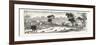 Opening of the Deniliquin and Echuca Railway: Echuca, South Australia, 1876-null-Framed Giclee Print