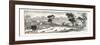 Opening of the Deniliquin and Echuca Railway: Echuca, South Australia, 1876-null-Framed Giclee Print