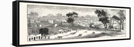 Opening of the Deniliquin and Echuca Railway: Echuca, South Australia, 1876-null-Framed Stretched Canvas