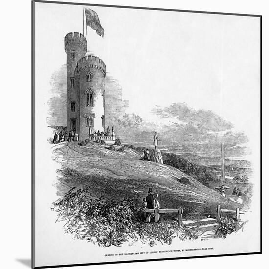 Opening of the Mathew and City of London Temperance Tower, at Mount Patrick, Near Cork, 1846-null-Mounted Giclee Print
