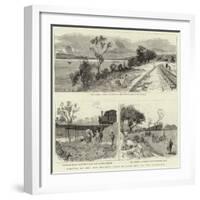 Opening of the New Railway from Delagoa Bay to the Transvaal-null-Framed Giclee Print