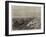 Opening of the Suez Canal, the Procession of Ships in the Canal-null-Framed Giclee Print