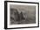 Opening of the Sutherland and Caithness Railway, Duncansby Head, John O' Groats-Samuel Read-Framed Giclee Print